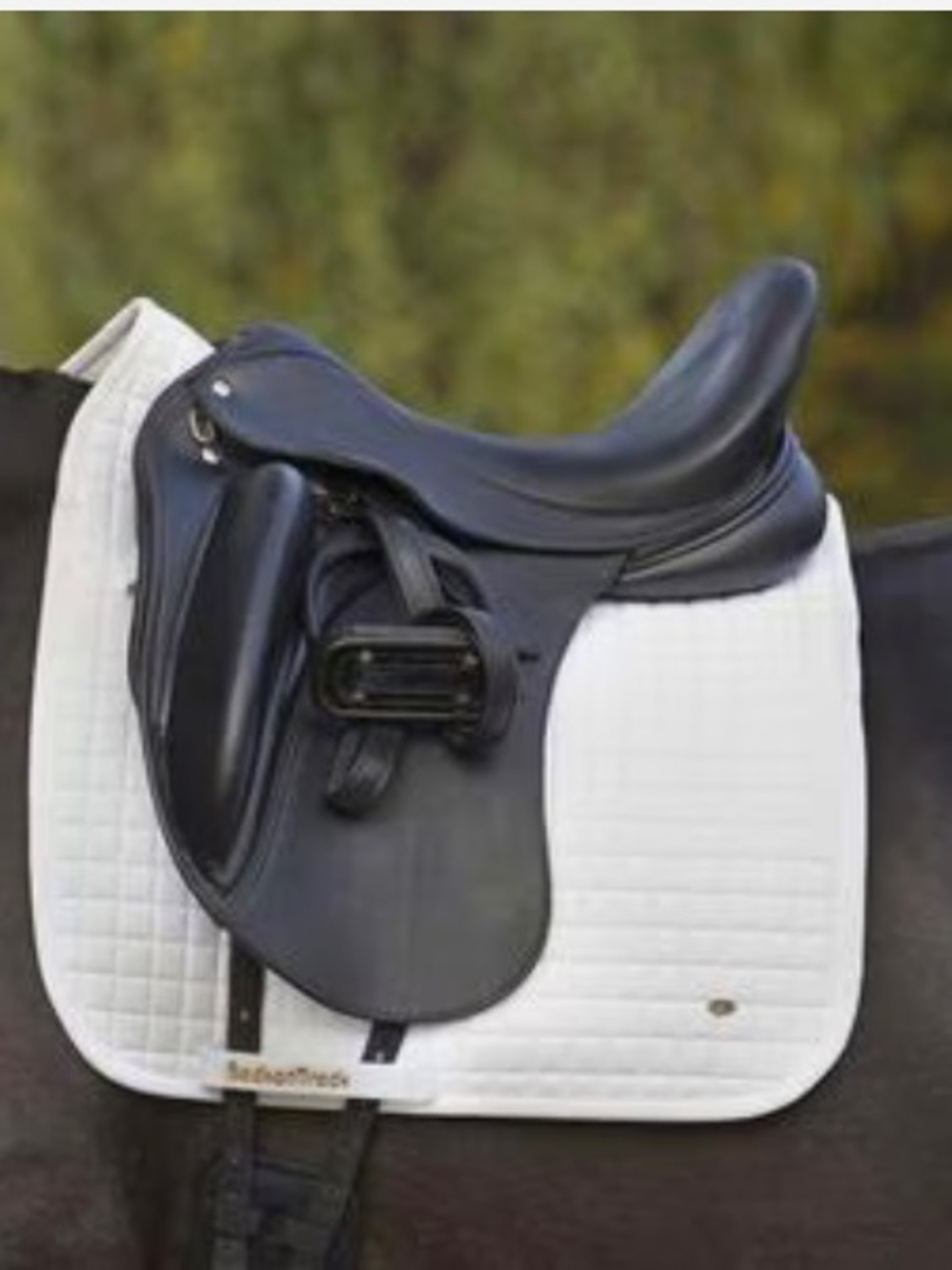 Back on Track Dressage Saddle Pad - White - Picture 2 of 10